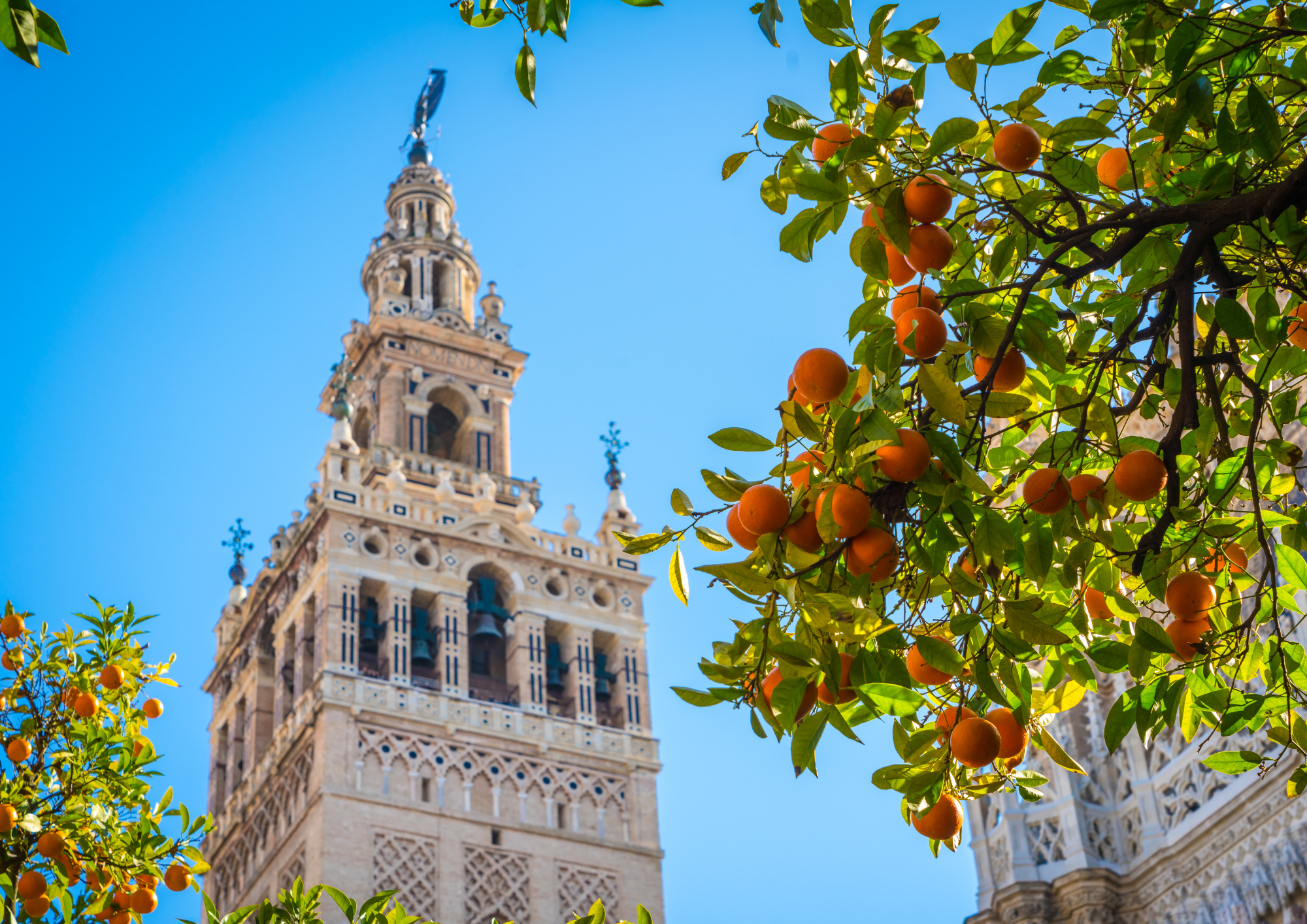 Why Retiring in Spain Is a Dream Come True for Expats